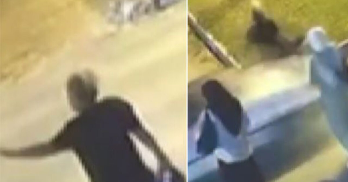Durması için el kaldırdı! Yaya geçidinde ezip öldürdü!