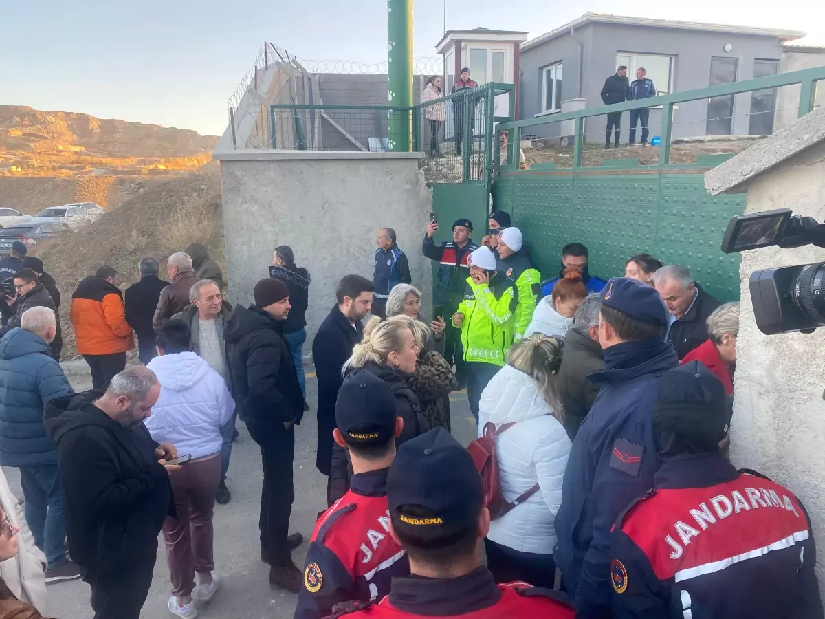 Mamak’ta Hayvan Barınağında Korkunç İddialar: Aç Kalan Köpekler Birbirini Parçaladı